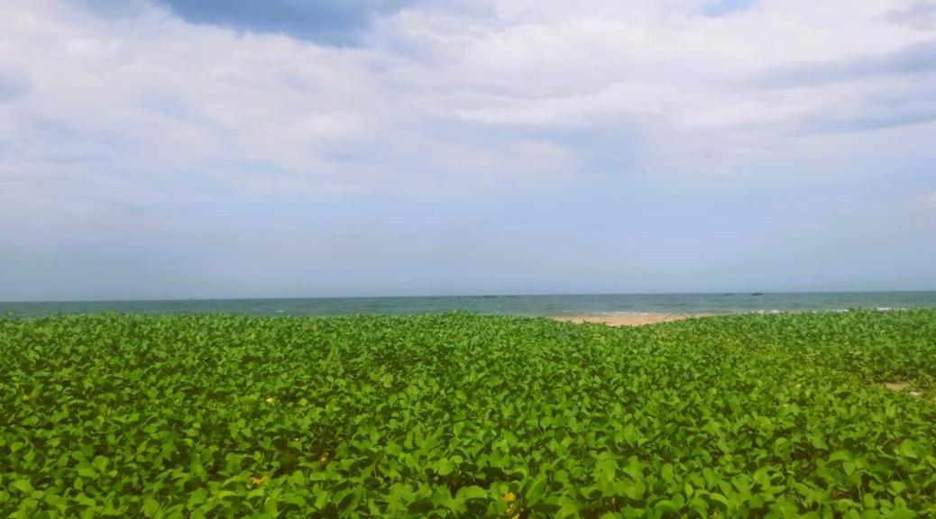 Chan Beach Resort Bahur Екстер'єр фото